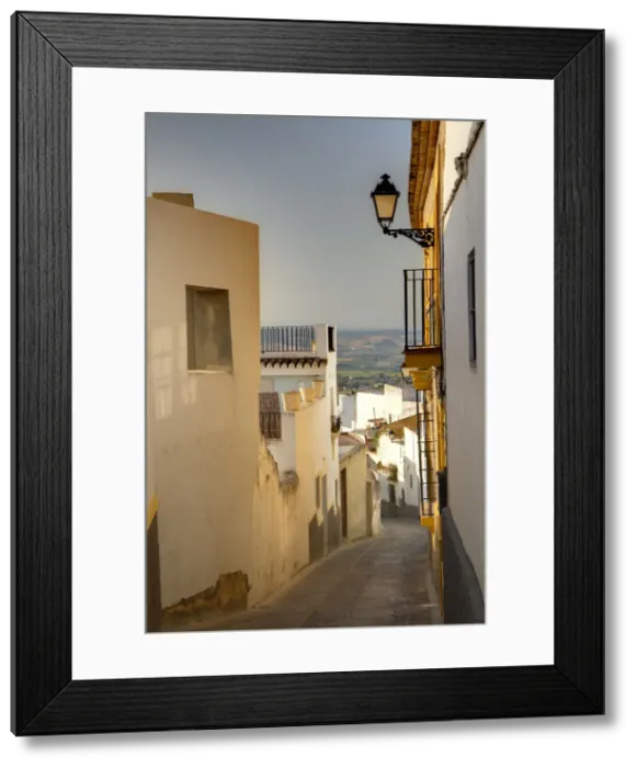 Framed Print : DDE-90035193 Framed Print : DDE-90035193