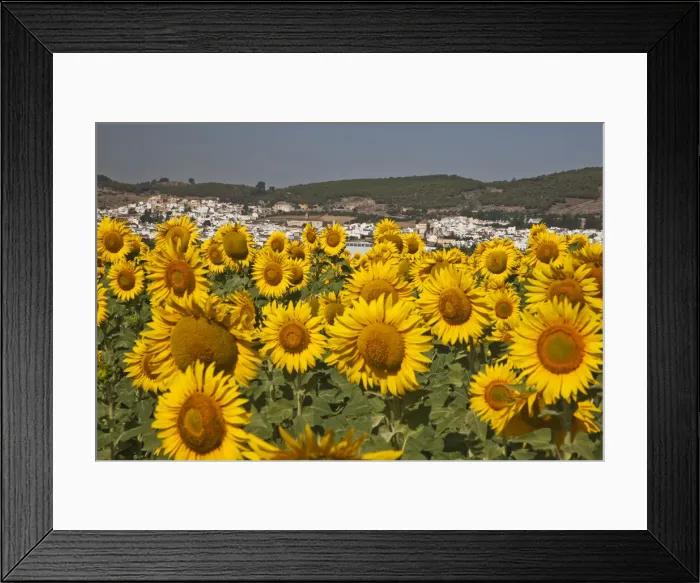 Framed Print : DDE-90035196 Framed Print : DDE-90035196