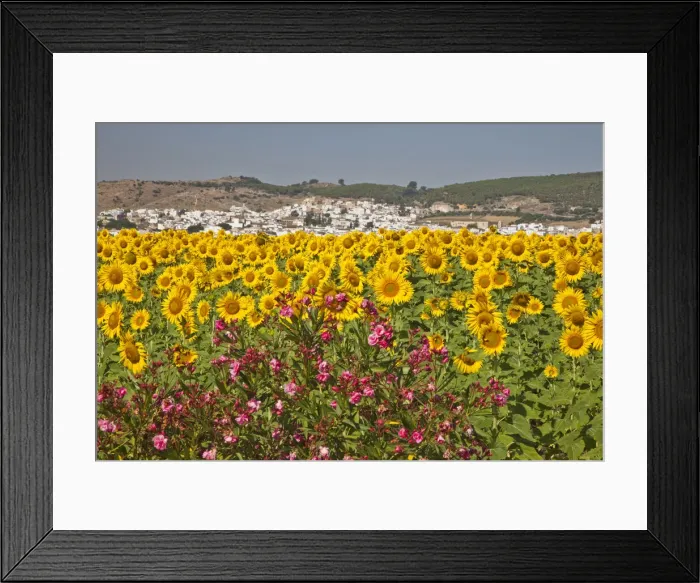 Framed Print : DDE-90035197 Framed Print : DDE-90035197