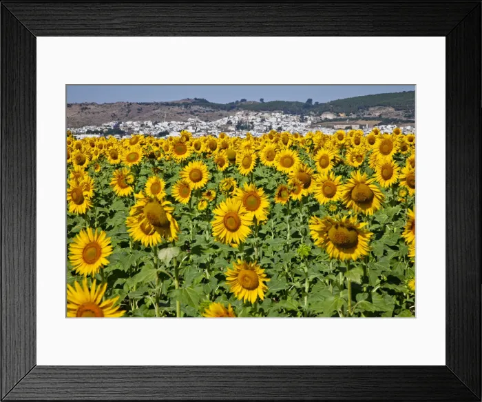 Framed Print : DDE-90035199 Framed Print : DDE-90035199