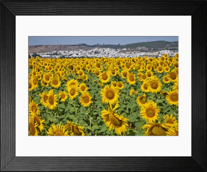 Framed Print : DDE-90035200 Framed Print : DDE-90035200