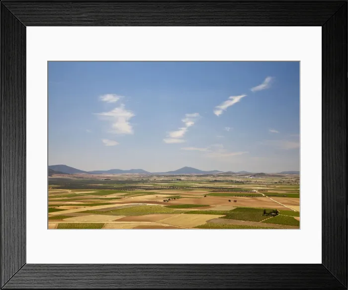 Framed Print : DDE-90035203
