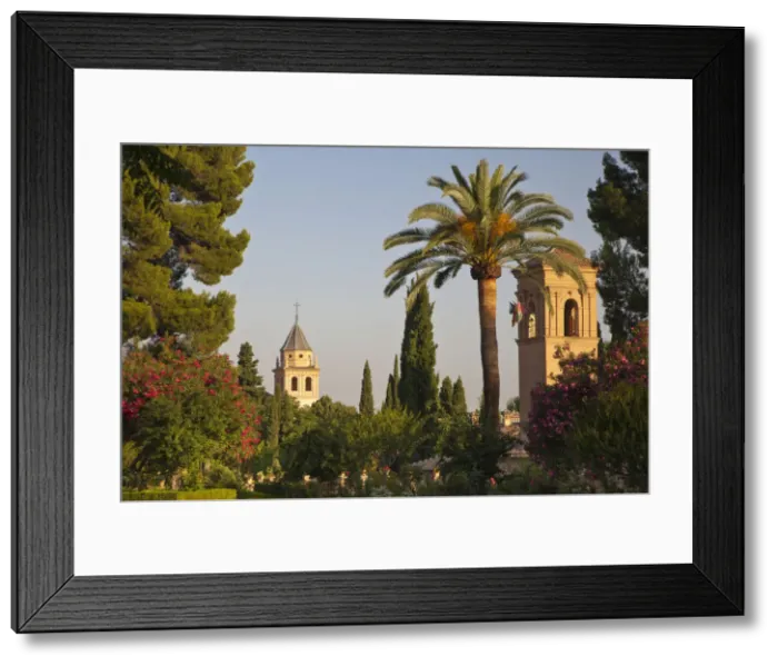 Framed Print : DDE-90035204 Framed Print : DDE-90035204