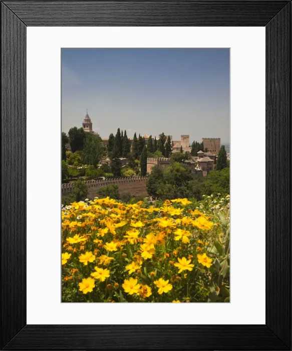 Framed Print : DDE-90035207 Framed Print : DDE-90035207
