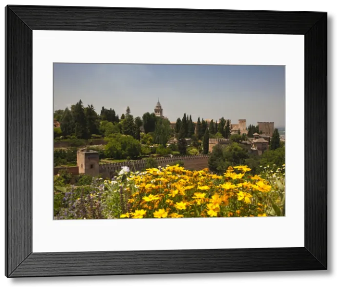 Framed Print : DDE-90035211 Framed Print : DDE-90035211