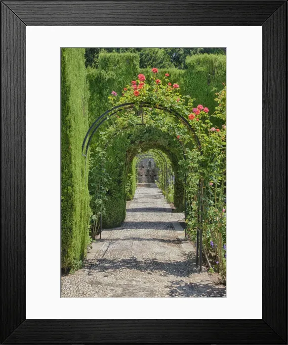 Framed Print : DDE-90035213 Framed Print : DDE-90035213