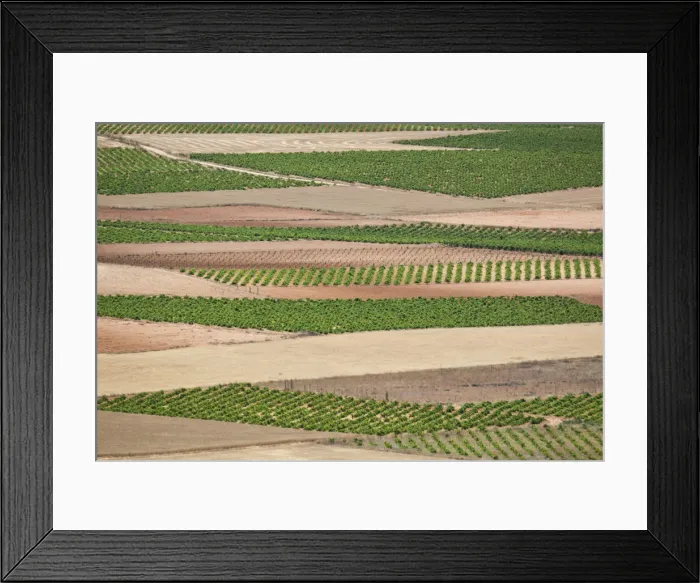 Framed Print : DDE-90035216 Framed Print : DDE-90035216