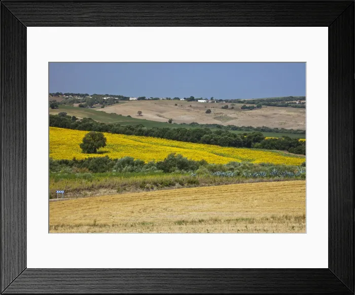 Framed Print : DDE-90035218 Framed Print : DDE-90035218