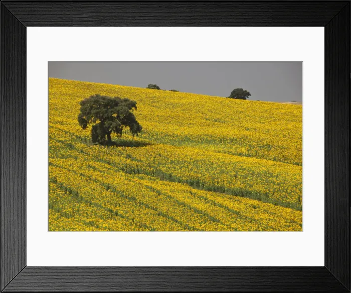 Framed Print : DDE-90035222 Framed Print : DDE-90035222