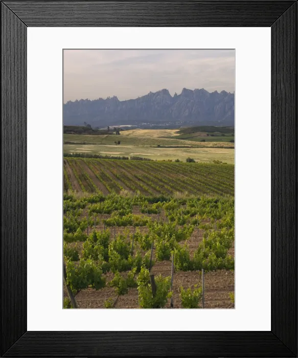 Framed Print : DDE-90035232 Framed Print : DDE-90035232