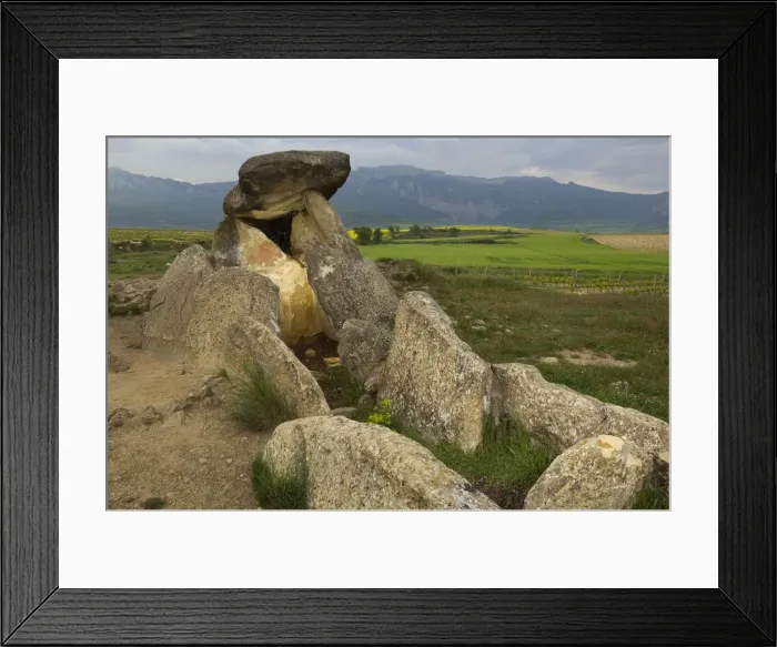 Framed Print : DDE-90035231 Framed Print : DDE-90035231
