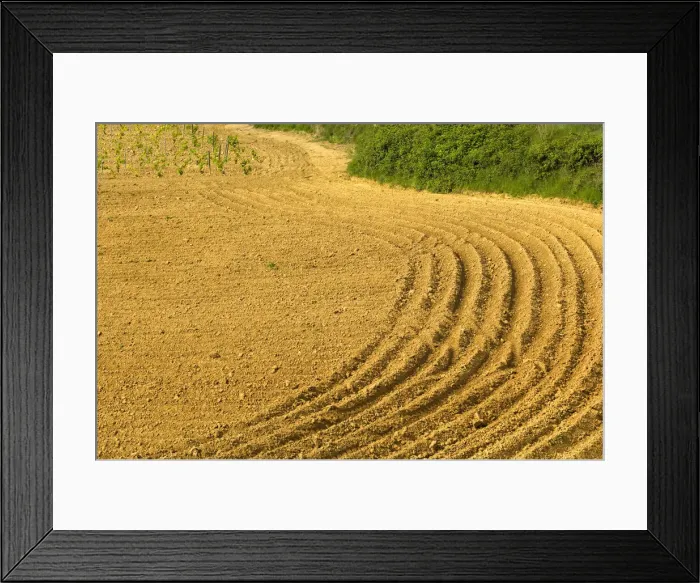 Framed Print : DDE-90035233 Framed Print : DDE-90035233