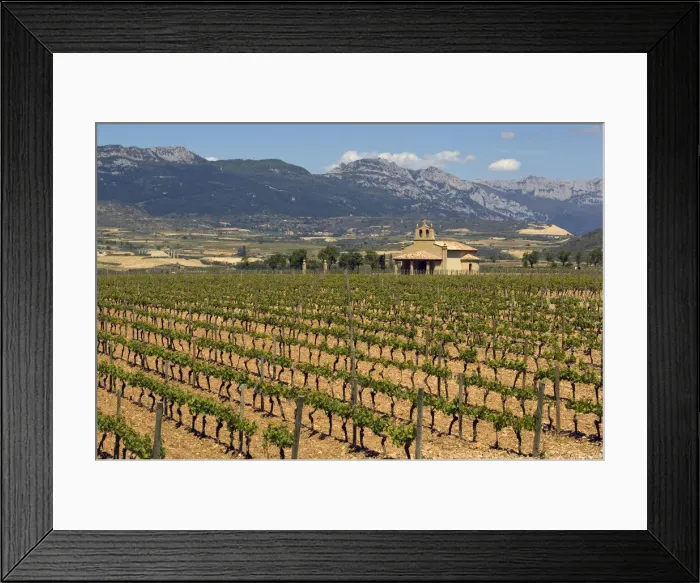 Framed Print : DDE-90035235
