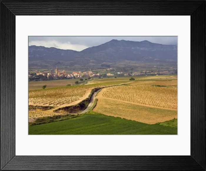 Framed Print : DDE-90035234