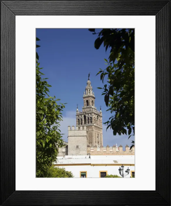 Framed Print : DDE-90035241 Framed Print : DDE-90035241