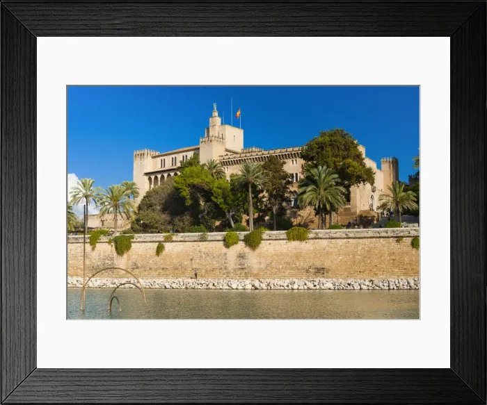 Framed Print : DDE-90035247 Framed Print : DDE-90035247