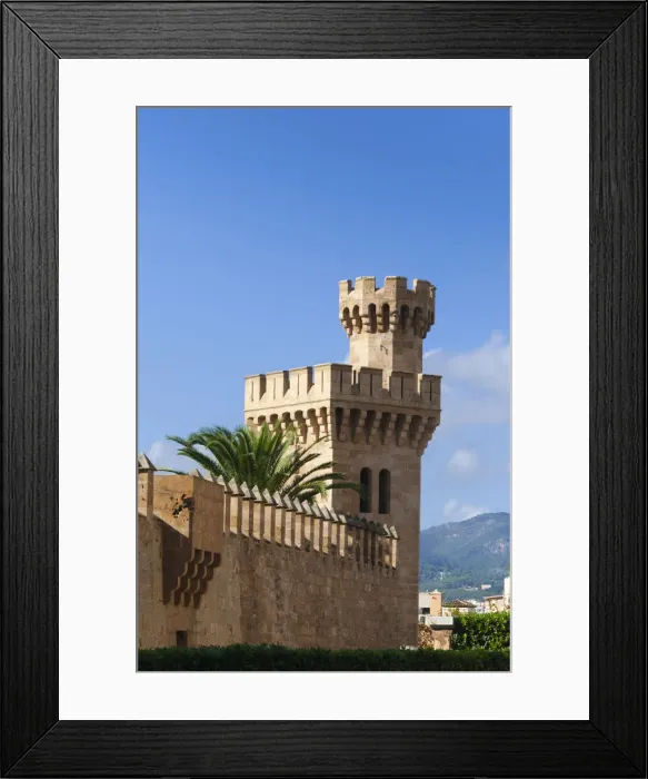 Framed Print : DDE-90035250 Framed Print : DDE-90035250