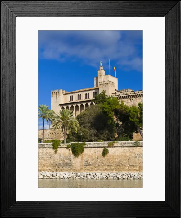 Framed Print : DDE-90035249 Framed Print : DDE-90035249