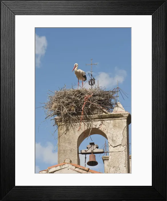 Framed Print : DDE-90035254 Framed Print : DDE-90035254