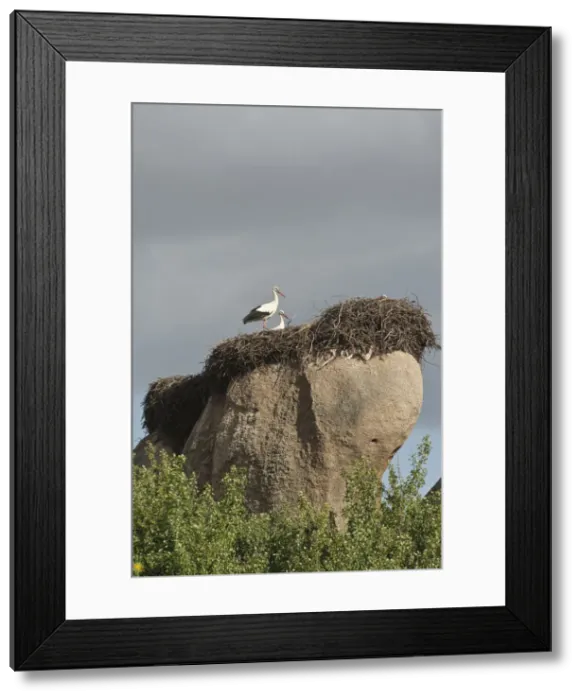 Framed Print : DDE-90035256 Framed Print : DDE-90035256