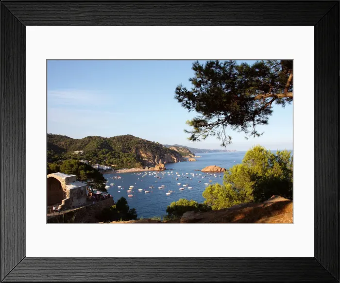 Framed Print : DDE-90035264