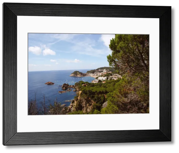 Framed Print : DDE-90035265 Framed Print : DDE-90035265