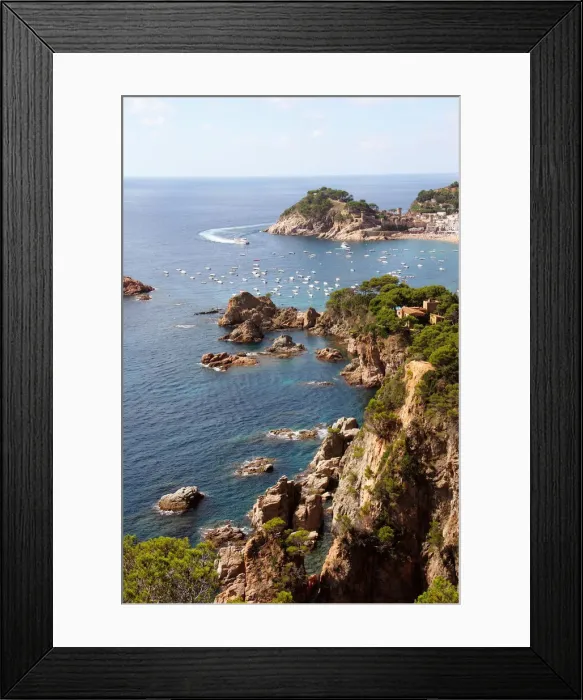 Framed Print : DDE-90035266 Framed Print : DDE-90035266