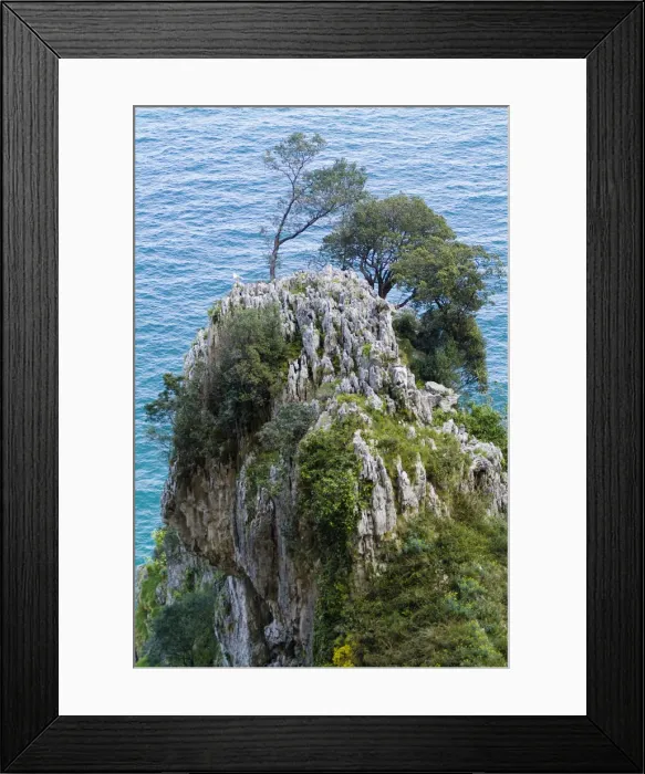 Framed Print : DDE-90035271 Framed Print : DDE-90035271