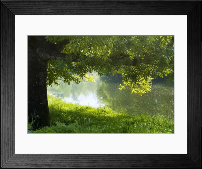 Framed Print : DDE-90035270 Framed Print : DDE-90035270