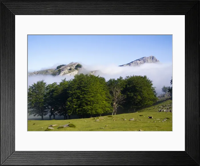 Framed Print : DDE-90035278