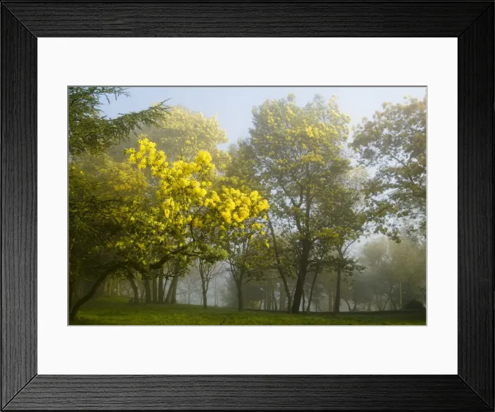 Framed Print : DDE-90035280