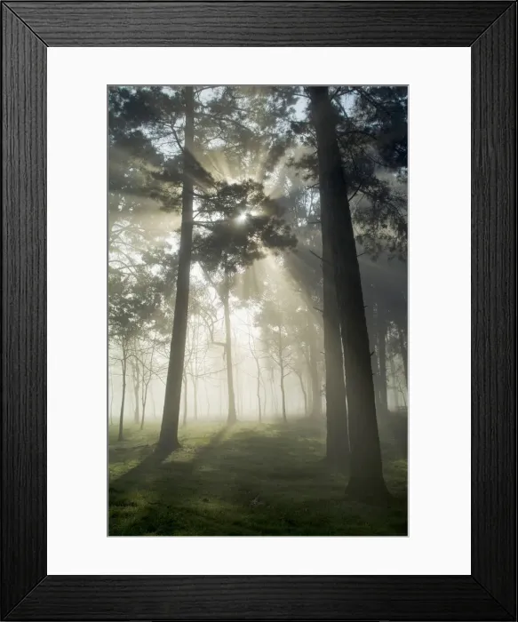 Framed Print : DDE-90035281 Framed Print : DDE-90035281