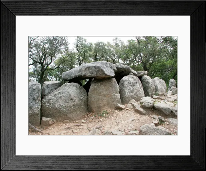 Framed Print : DDE-90035282