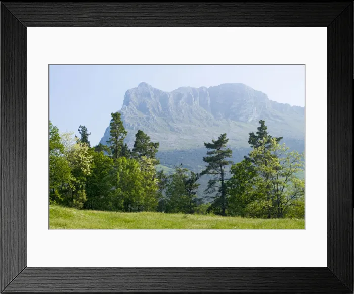 Framed Print : DDE-90035283