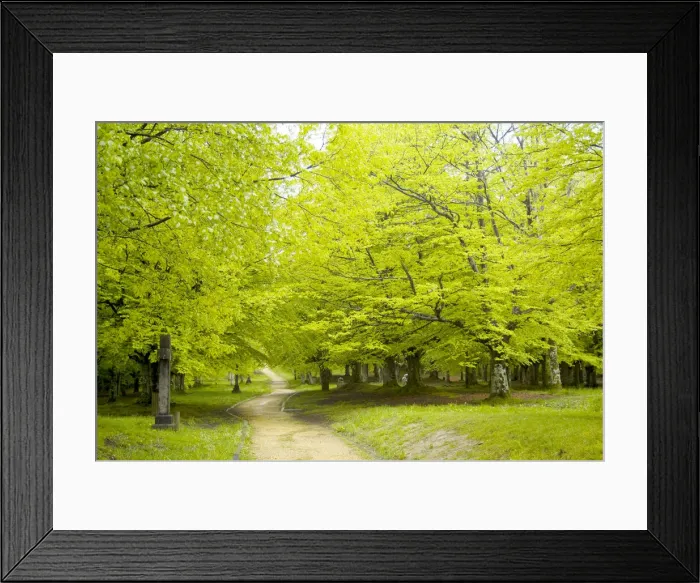 Framed Print : DDE-90035288 Framed Print : DDE-90035288