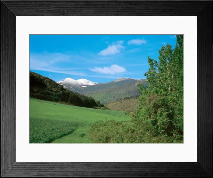 Framed Print : DDE-90035292