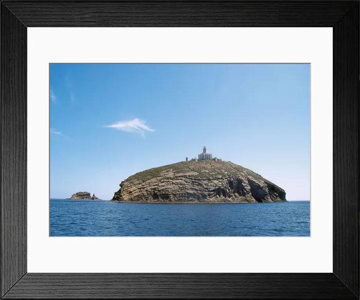 Framed Print : DDE-90035295 Framed Print : DDE-90035295