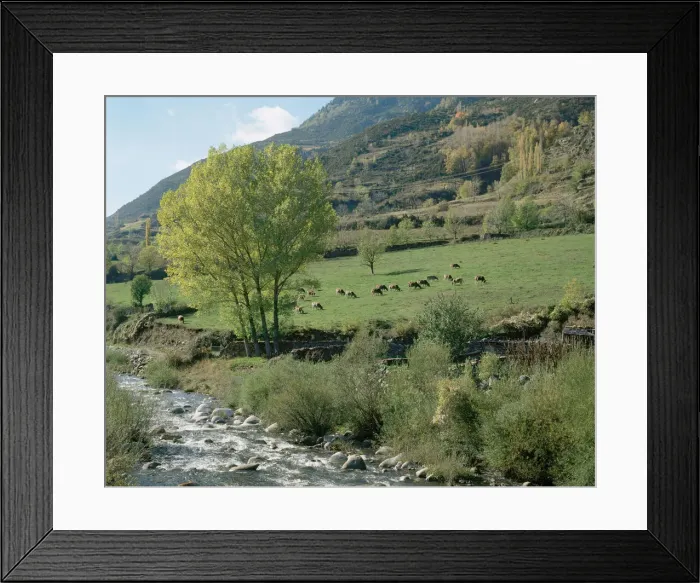 Framed Print : DDE-90035297 Framed Print : DDE-90035297