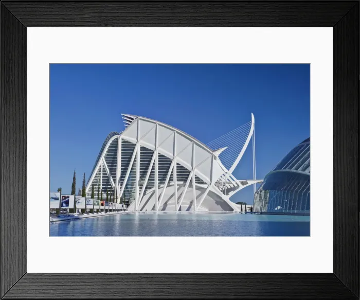 Framed Print : DDE-90035309