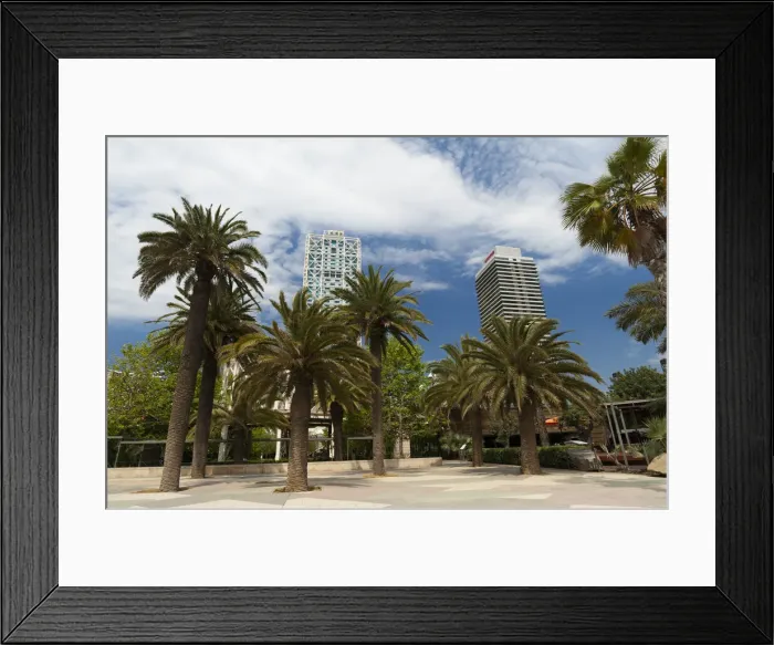 Framed Print : DDE-90035314 Framed Print : DDE-90035314