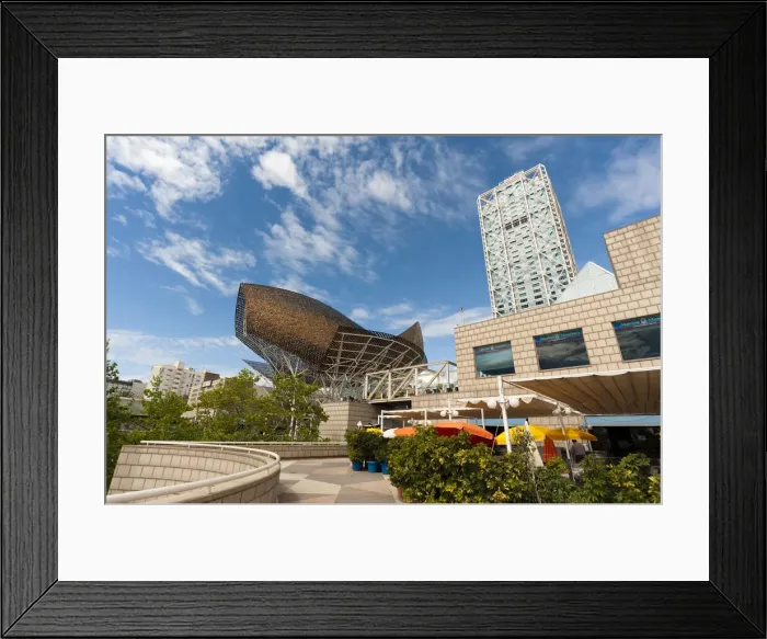 Framed Print : DDE-90035316