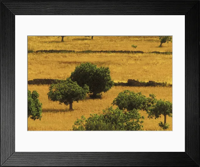 Framed Print : DDE-90035321 Framed Print : DDE-90035321