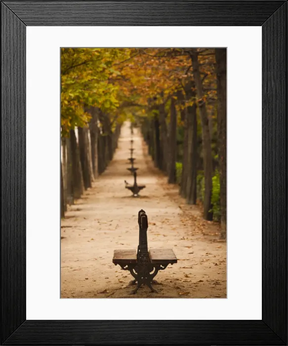Framed Print : DDE-90035331 Framed Print : DDE-90035331