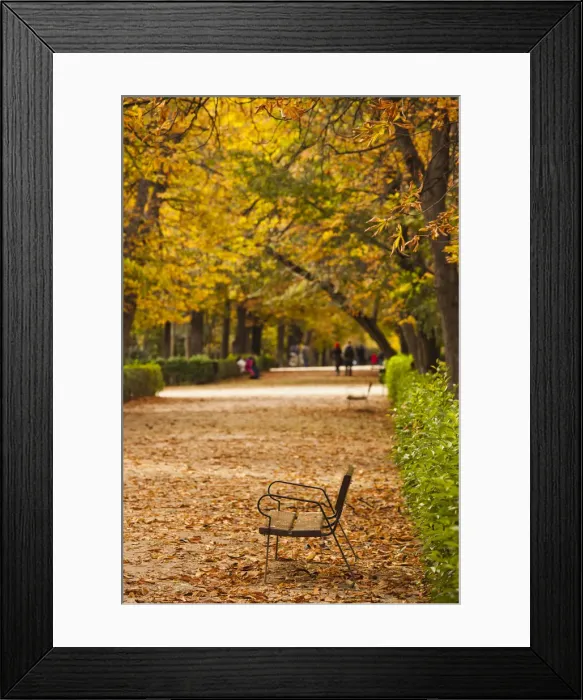 Framed Print : DDE-90035332 Framed Print : DDE-90035332