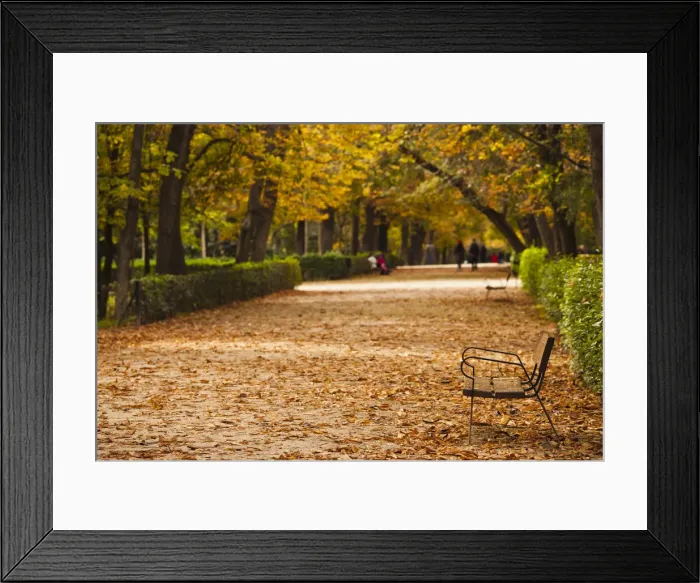 Framed Print : DDE-90035333 Framed Print : DDE-90035333