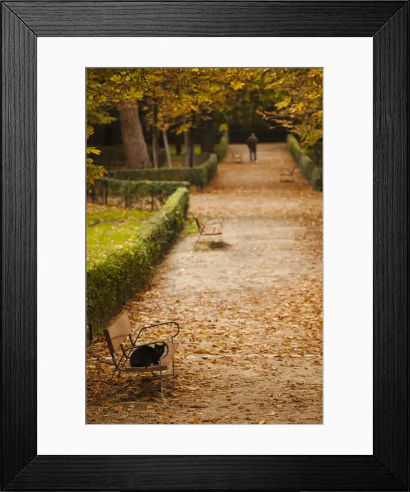 Framed Print : DDE-90035334 Framed Print : DDE-90035334