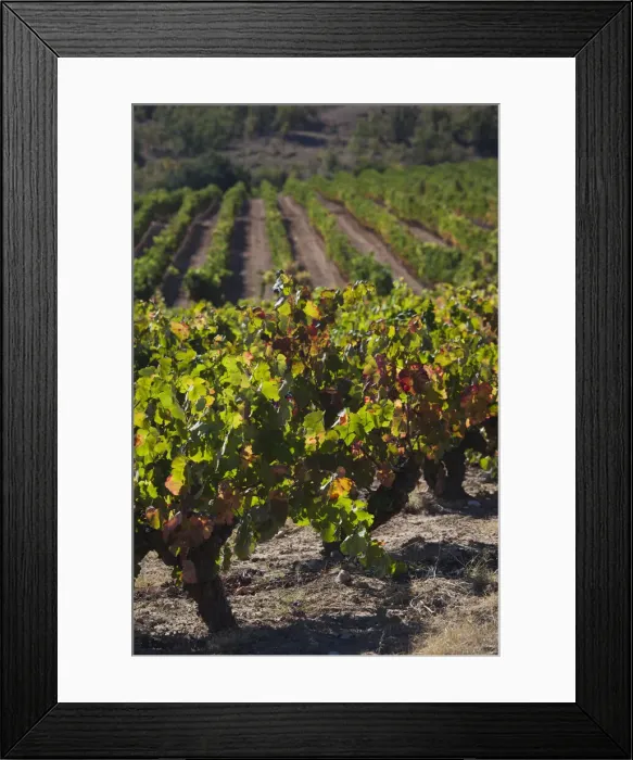 Framed Print : DDE-90035352 Framed Print : DDE-90035352