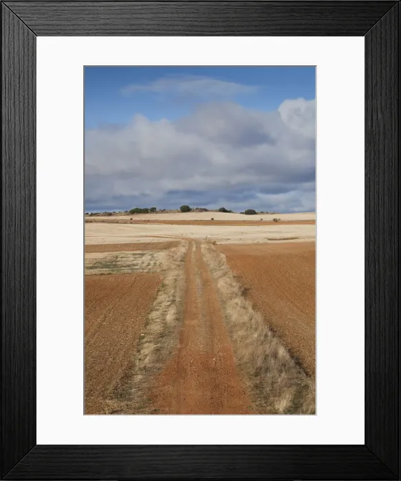 Framed Print : DDE-90035361 Framed Print : DDE-90035361