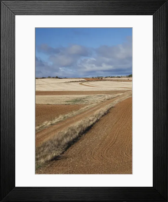 Framed Print : DDE-90035362 Framed Print : DDE-90035362