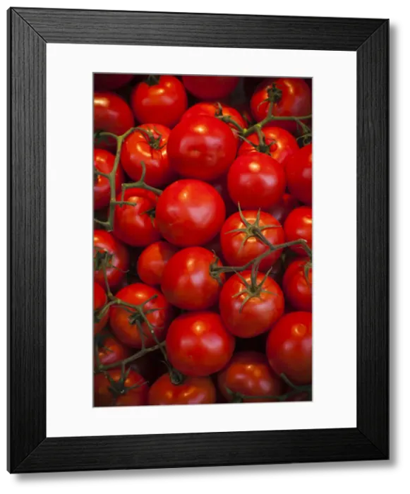 Framed Print : DDE-90035388 Framed Print : DDE-90035388